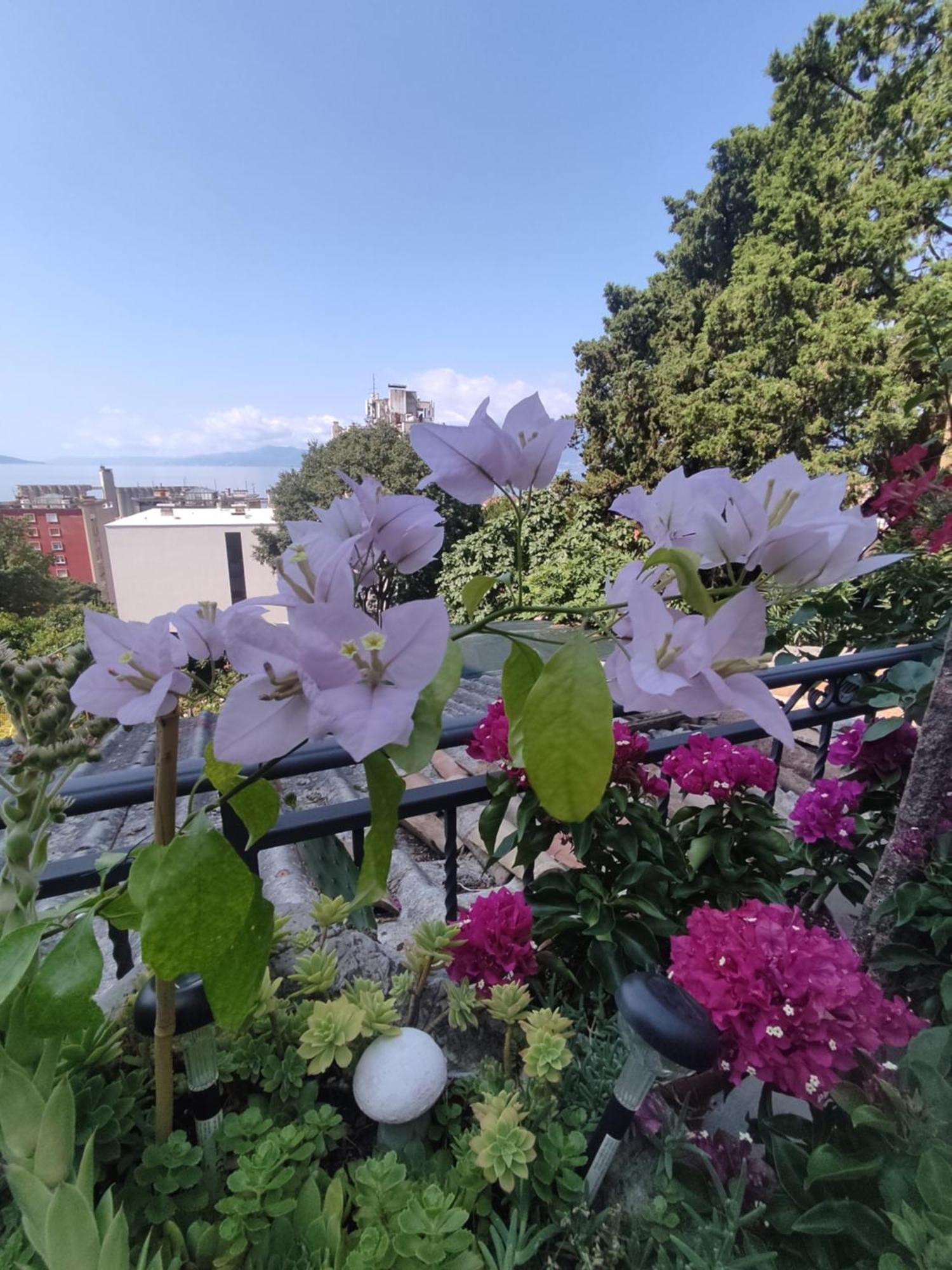 Apartman Bella Vista Rijeka Exterior foto